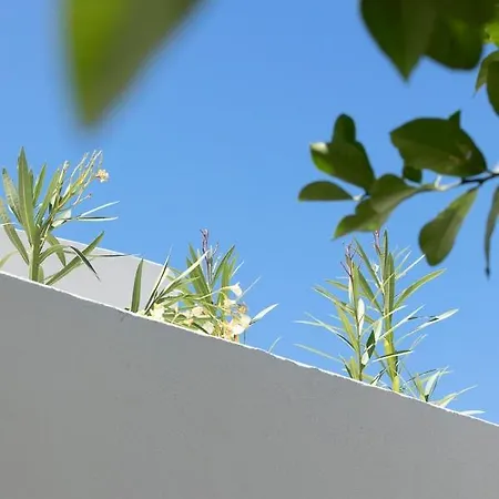 Acave Santorini Apartman *